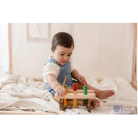 Qtoys Pound A Peg