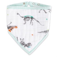 Aden + Anais Classic Bandana - Colour Pop