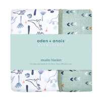 Aden Dream Blanket - Dinotime by Aden+Anais