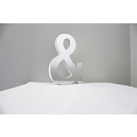 Mirror Alphabet Letter Large Upper Case 20cm "&"