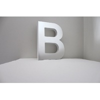 Mirror Alphabet Letter Large Upper Case 20cm "B"