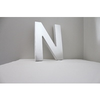 Mirror Alphabet Letter Large Upper Case 20cm "N"