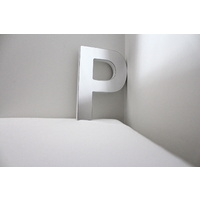 Mirror Alphabet Letter Large Upper Case 20cm "P"