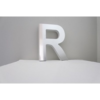 Mirror Alphabet Letter Large Upper Case 20cm "R"