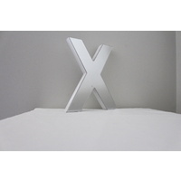 Mirror Alphabet Letter Large Upper Case 20cm "X"