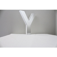 Mirror Alphabet Letter Large Upper Case 20cm "Y"