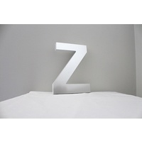 Mirror Alphabet Letter Large Upper Case 20cm "Z"