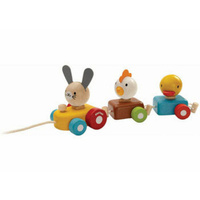 Plan Toys Animal Train Sorter