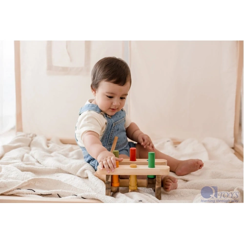 Qtoys Pound A Peg
