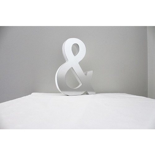 Mirror Alphabet Letter Large Upper Case 20cm "&"