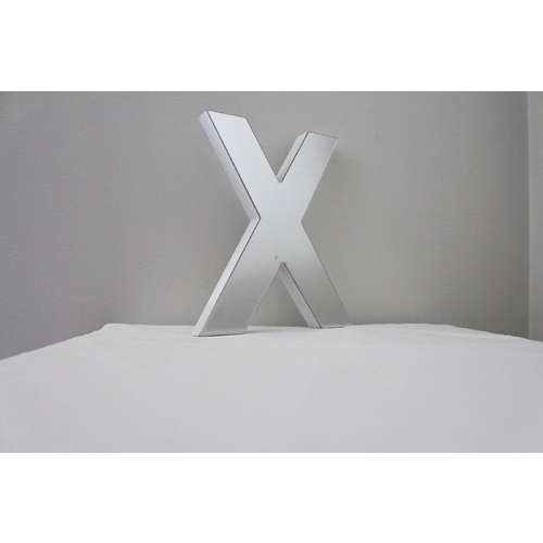 Mirror Alphabet Letter Large Upper Case 20cm "X"
