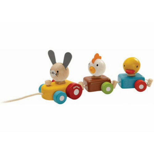 Plan Toys Animal Train Sorter