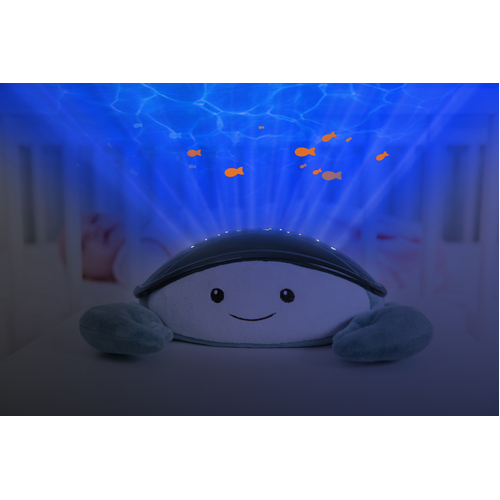 Zazu - Cody Ocean Projector